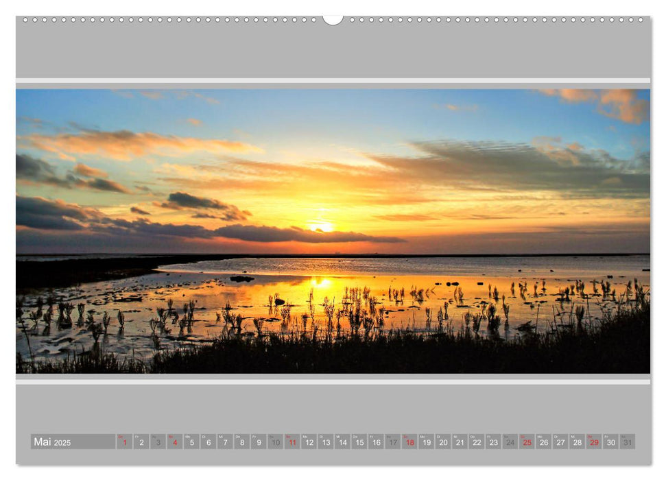 Ostfriesland - Deichspaziergang (CALVENDO Premium Wandkalender 2025)