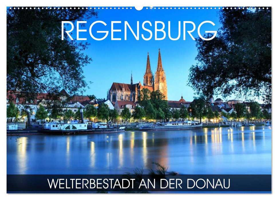 Regensburg - Welterbestadt an der Donau (CALVENDO Wandkalender 2025)