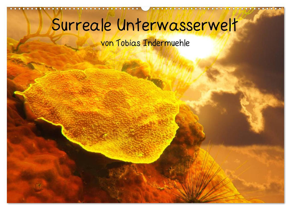 Surreale Unterwasserwelt (CALVENDO Wandkalender 2025)