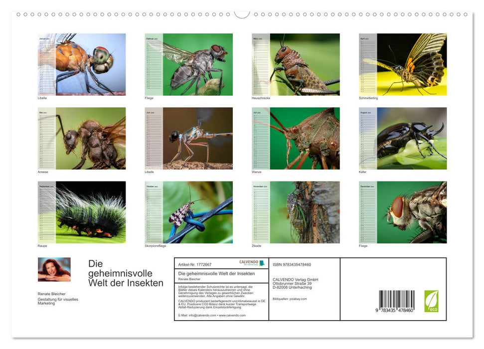 Die geheimnisvolle Welt der Insekten (CALVENDO Premium Wandkalender 2025)