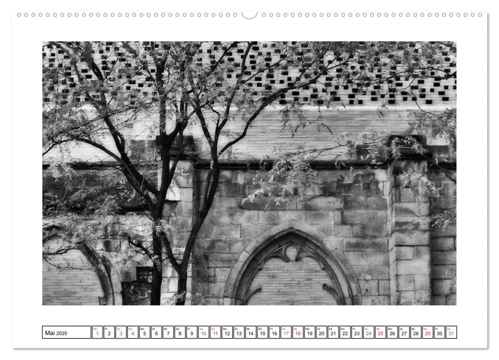 GRAFIK IN DER ARCHITEKTUR (CALVENDO Premium Wandkalender 2025)