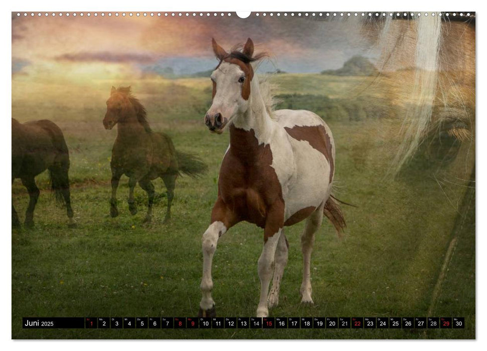 Western-Feeling (CALVENDO Premium Wandkalender 2025)