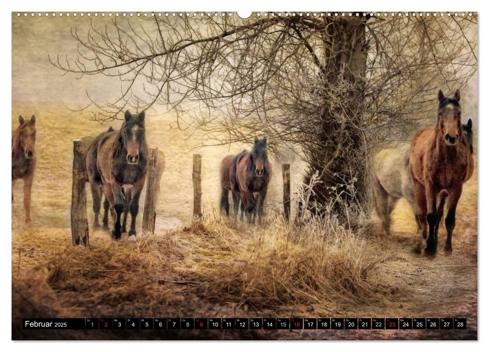 Western und Pferde (CALVENDO Premium Wandkalender 2025)