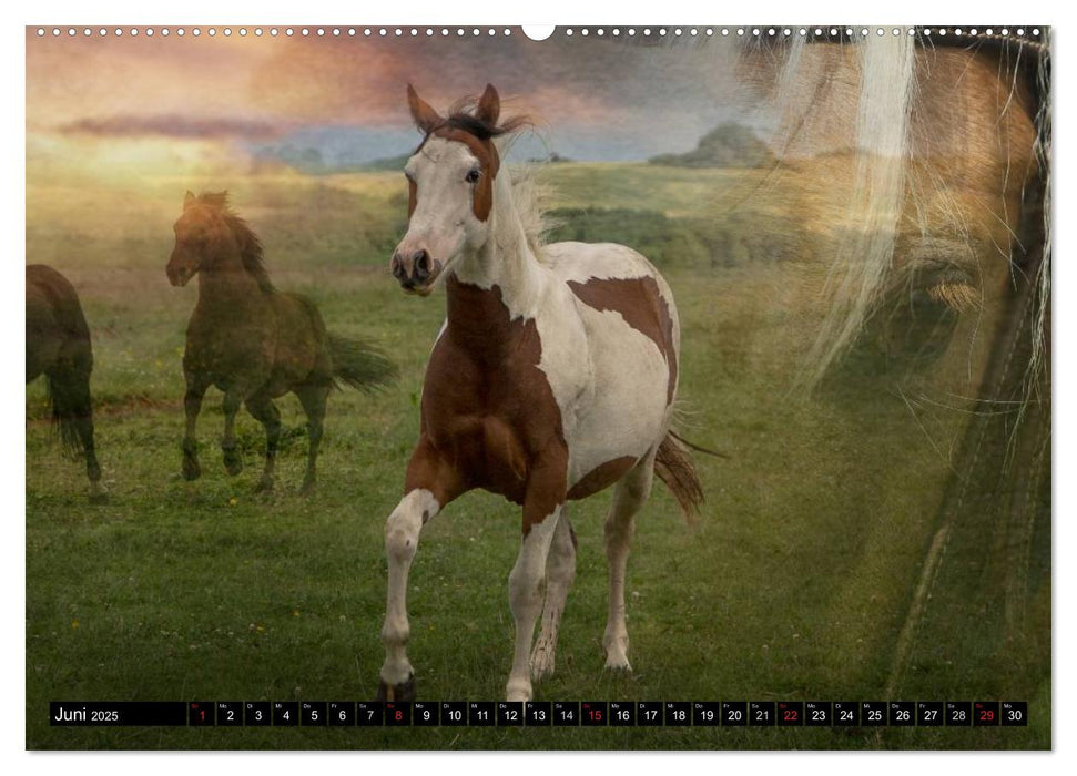 Western und Pferde (CALVENDO Premium Wandkalender 2025)