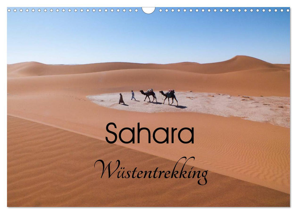 Sahara Wüstentrekking (CALVENDO Wandkalender 2025)