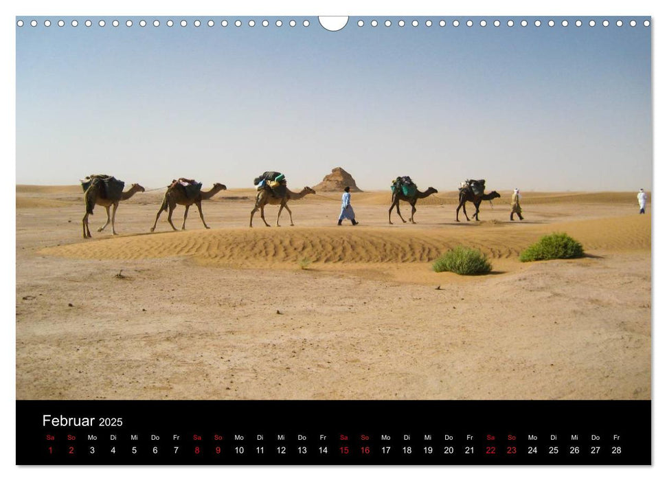 Sahara Wüstentrekking (CALVENDO Wandkalender 2025)