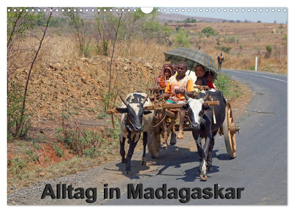 Alltag in Madagaskar (CALVENDO Wandkalender 2025)