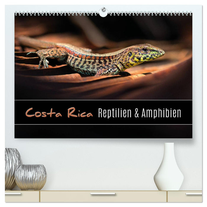 Costa Rica - Reptilien und Amphibien (CALVENDO Premium Wandkalender 2025)
