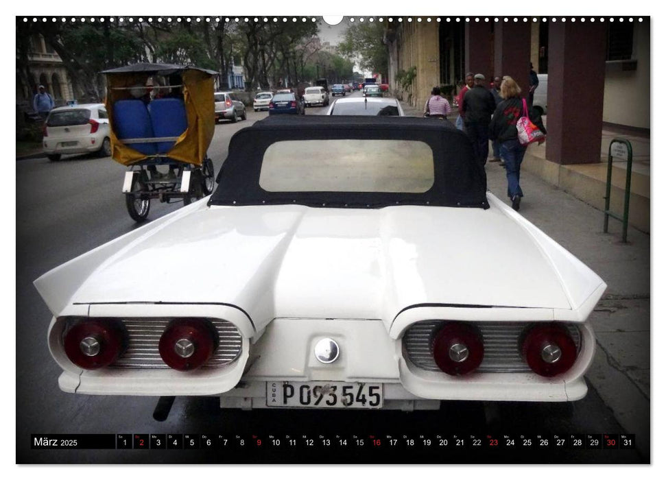 Auto-Legenden: FORD THUNDERBIRD (CALVENDO Premium Wandkalender 2025)