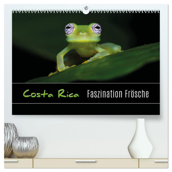 Costa Rica - Faszination Frösche (CALVENDO Premium Wandkalender 2025)