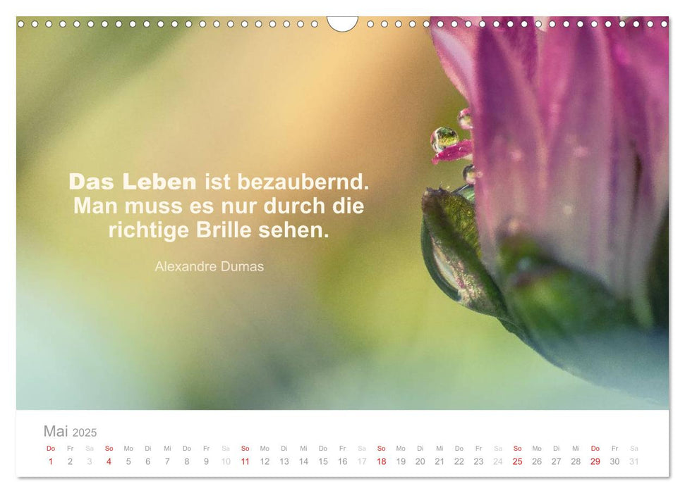 Zauberhafte Sprüche - Bunte Seelenblüten (CALVENDO Wandkalender 2025)