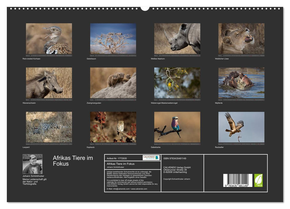 Afrikas Tiere im Fokus (CALVENDO Premium Wandkalender 2025)