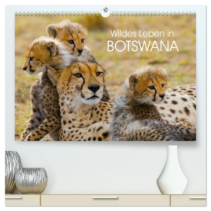 Wildes Leben in Botswana (CALVENDO Premium Wandkalender 2025)