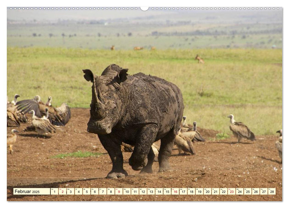 Wildes Leben in Botswana (CALVENDO Premium Wandkalender 2025)