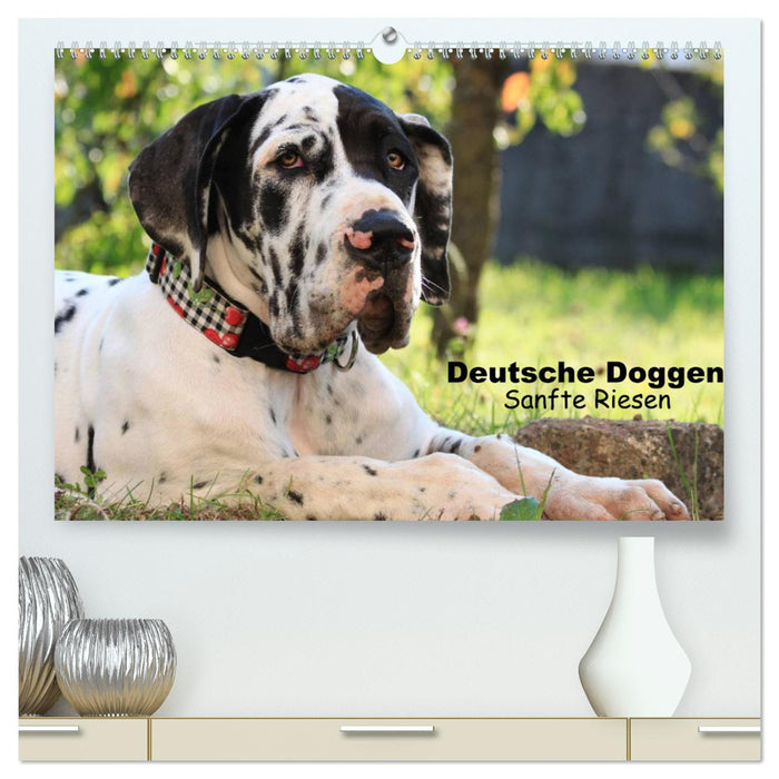 Deutsche Doggen - Sanfte Riesen (CALVENDO Premium Wandkalender 2025)