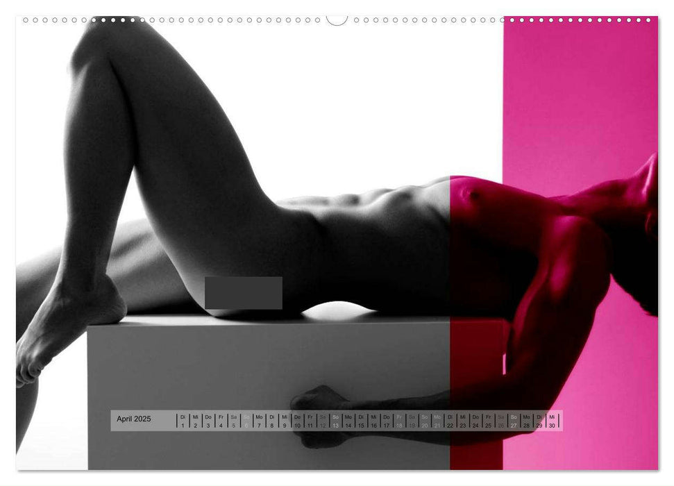 Naked men behind the colors – Ästhetische Aktfotografien (CALVENDO Premium Wandkalender 2025)