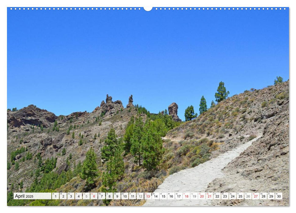 Gran Canaria – Insel des ewigen Frühlings (CALVENDO Premium Wandkalender 2025)