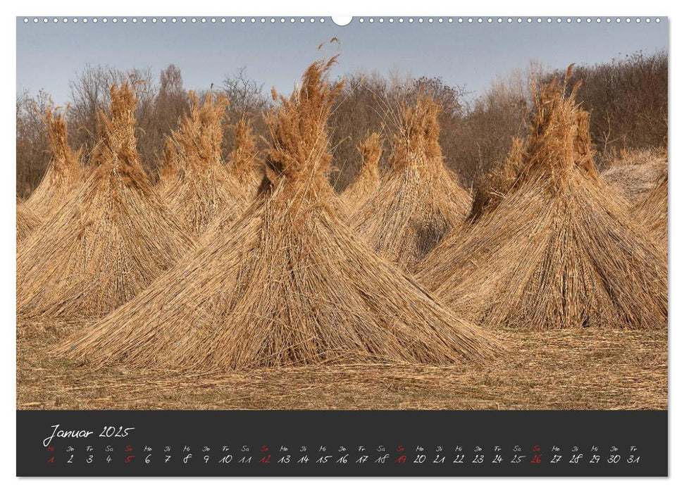 Natur erleben Seewinkel-Neusiedlersee (CALVENDO Premium Wandkalender 2025)