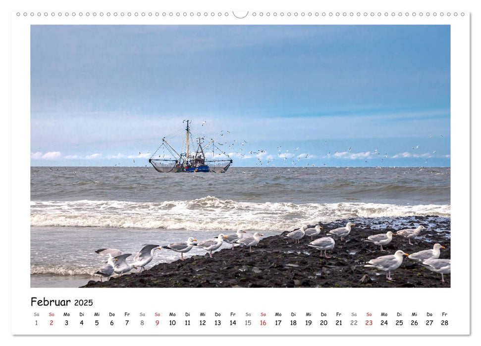 Norderney. Meine ostfriesische Insel (CALVENDO Premium Wandkalender 2025)