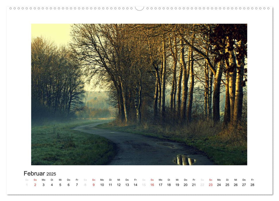 Winter im Teufelsmoor (CALVENDO Premium Wandkalender 2025)