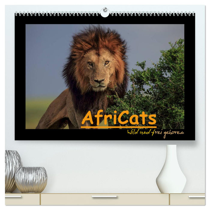 AfriCats (CALVENDO Premium Wandkalender 2025)