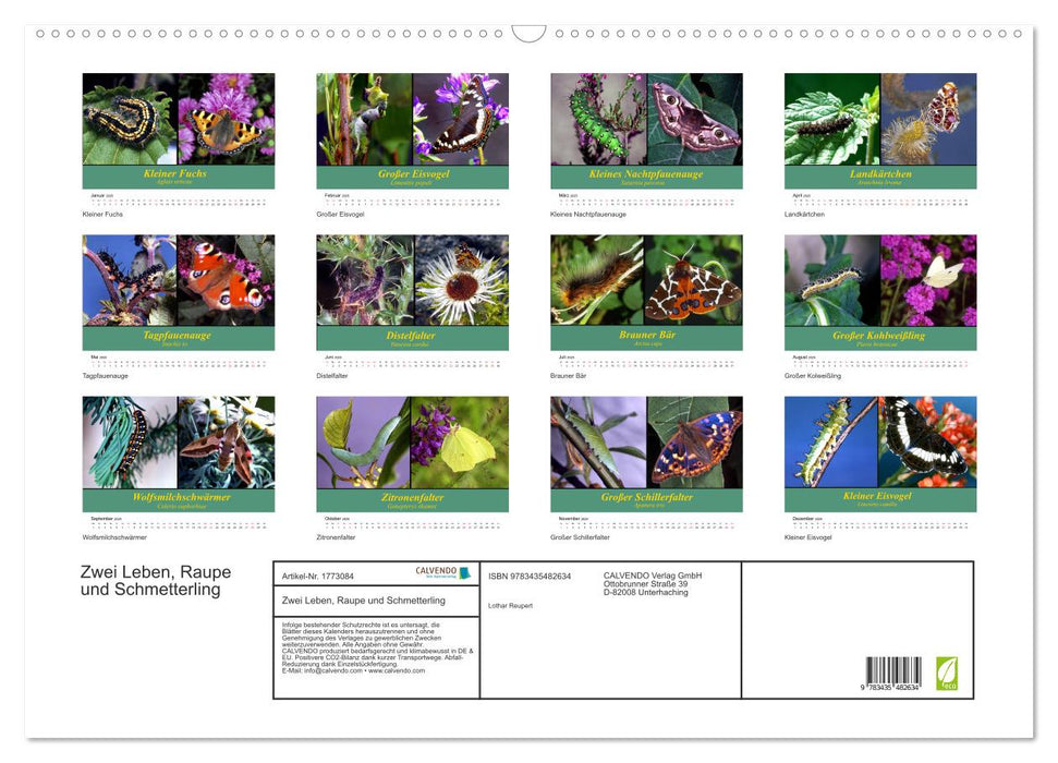Zwei Leben, Raupe und Schmetterling (CALVENDO Wandkalender 2025)