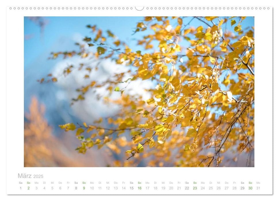 saas fee (CALVENDO Premium Wandkalender 2025)