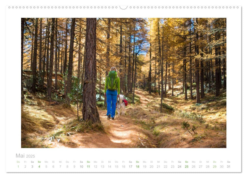 saas fee (CALVENDO Premium Wandkalender 2025)