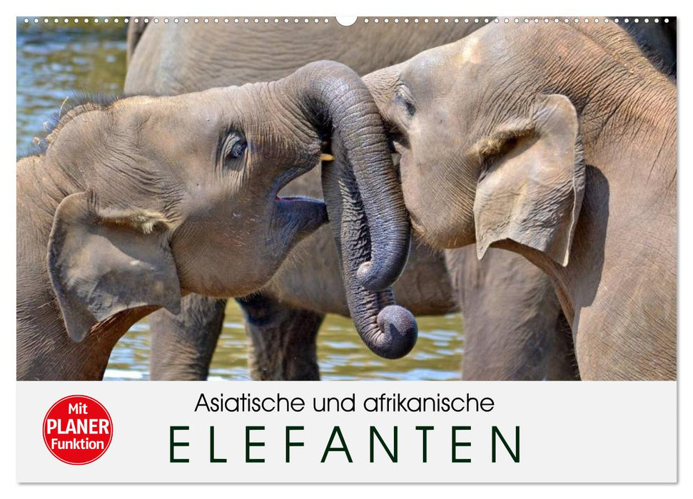 Asiatische und afrikanische Elefanten (CALVENDO Wandkalender 2025)