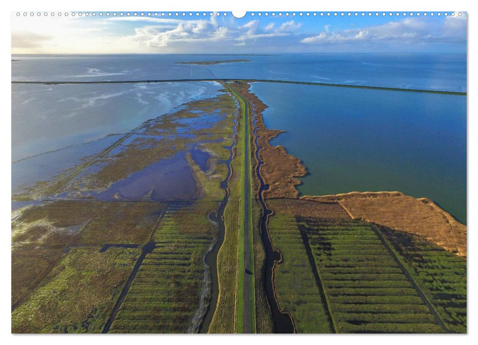 Luftaufnahmen - Faszinierendes Nordfriesland (CALVENDO Premium Wandkalender 2025)