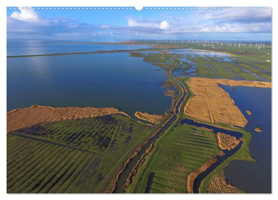 Luftaufnahmen - Faszinierendes Nordfriesland (CALVENDO Premium Wandkalender 2025)