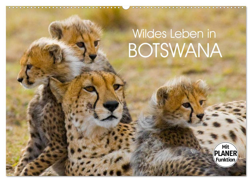 Wildes Leben in Botswana (CALVENDO Wandkalender 2025)