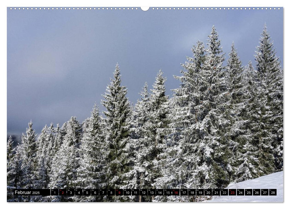 HOCHKÖNIG - Gipfel der Salzburger Alpen (CALVENDO Premium Wandkalender 2025)