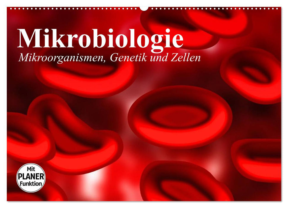 Mikrobiologie. Mikroorganismen, Genetik und Zellen (CALVENDO Wandkalender 2025)