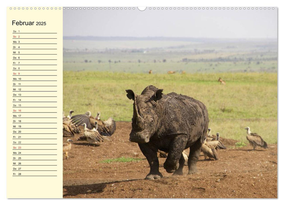 Afrika. Tiere in freier Wildbahn (CALVENDO Premium Wandkalender 2025)