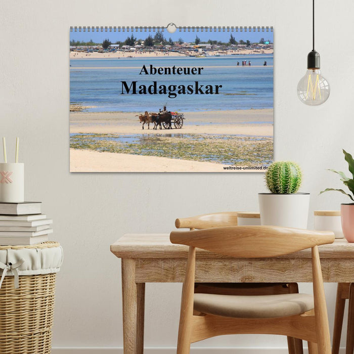 Abenteuer Madagaskar (CALVENDO Wandkalender 2025)