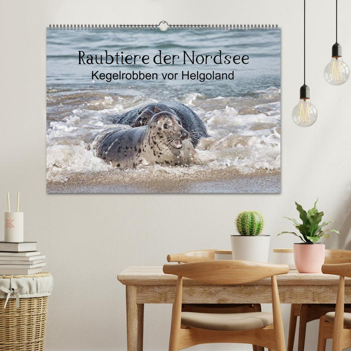 Raubtier der Nordsee - Kegelrobben vor Helgoland (CALVENDO Wandkalender 2025)