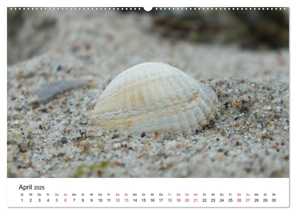 Lübecker Bucht (CALVENDO Premium Wandkalender 2025)