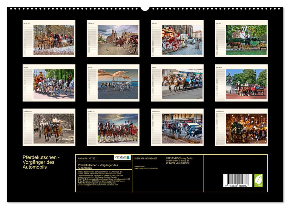 Pferdekutschen - Vorgänger des Automobils (CALVENDO Premium Wandkalender 2025)