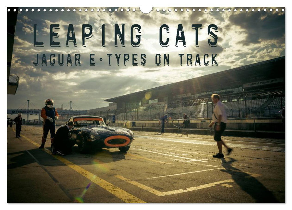 Leaping Cats - Jaguar E-Types on Track (CALVENDO Wandkalender 2025)