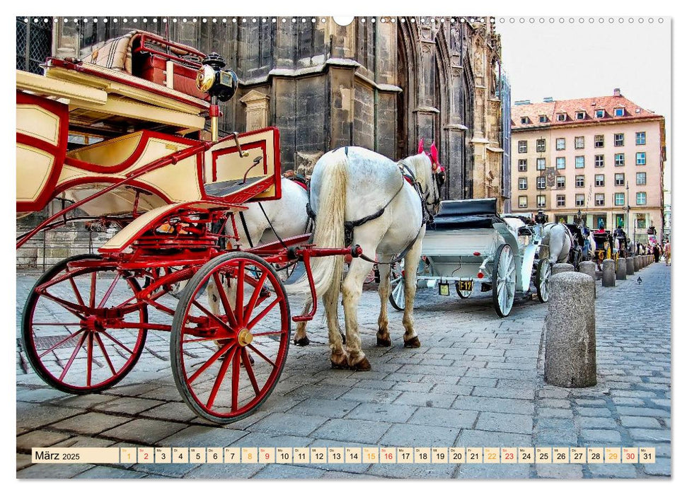 Pferdekutschen - Vorgänger des Automobils (CALVENDO Premium Wandkalender 2025)