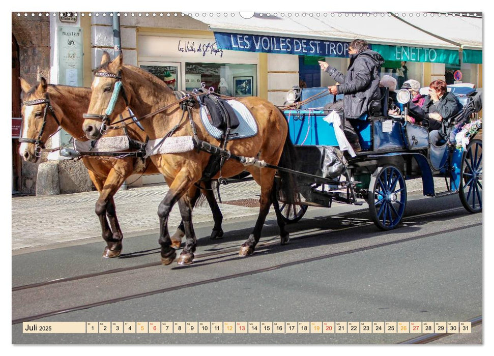 Pferdekutschen - Vorgänger des Automobils (CALVENDO Premium Wandkalender 2025)