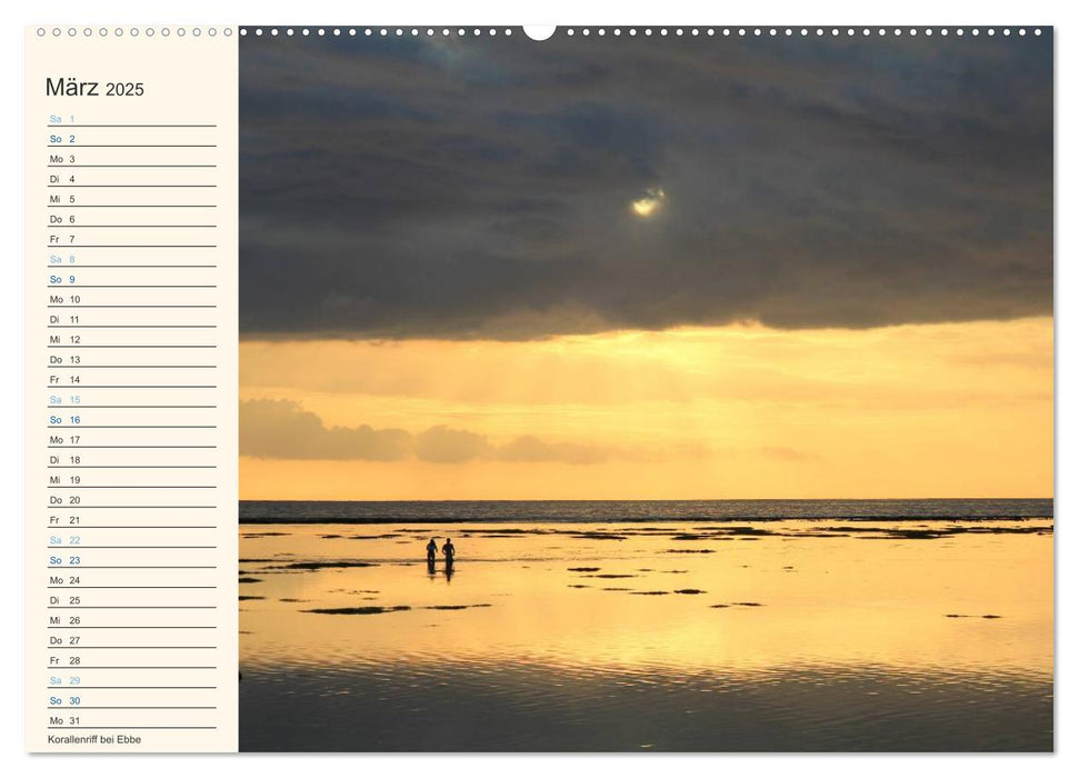 Mauritius - traumhaft und unvergesslich (CALVENDO Premium Wandkalender 2025)