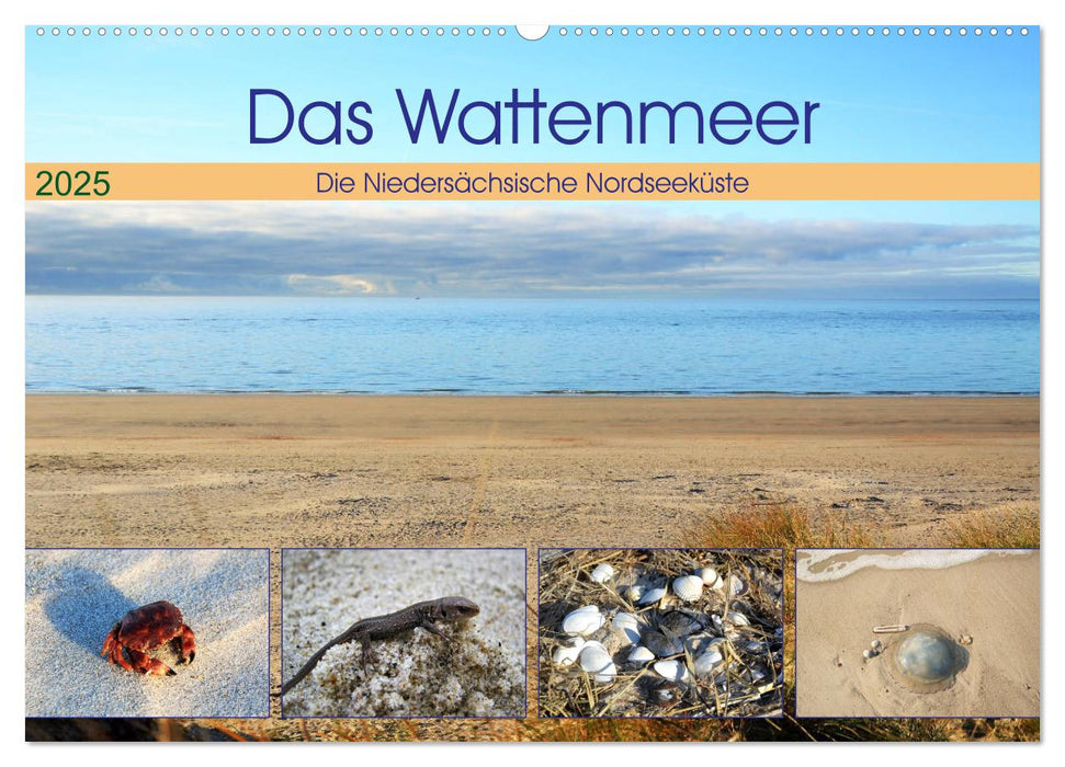 Das Wattenmeer - 2025 (CALVENDO Wandkalender 2025)