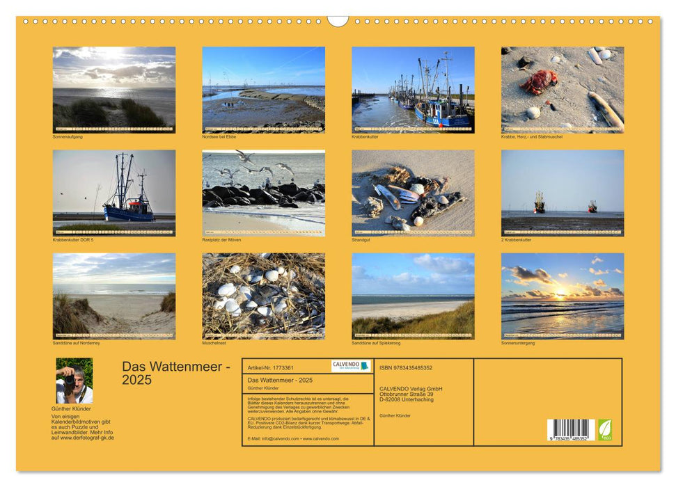 Das Wattenmeer - 2025 (CALVENDO Wandkalender 2025)