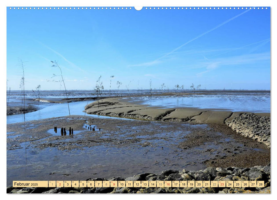 Das Wattenmeer - 2025 (CALVENDO Wandkalender 2025)