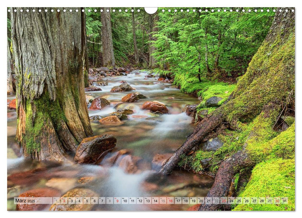 Color of Nature - Magie der Farben (CALVENDO Wandkalender 2025)