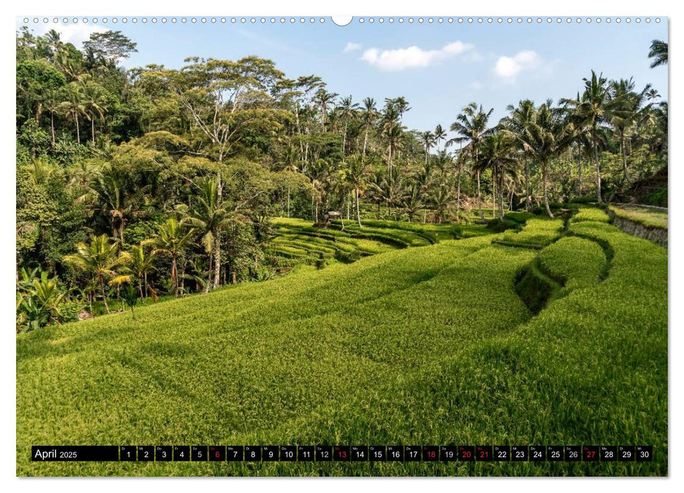 Ubud - Bali (CALVENDO Premium Wandkalender 2025)