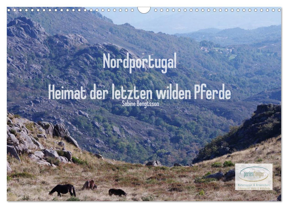 Nordportugal - Heimat der letzten wilden Pferde (CALVENDO Wandkalender 2025)