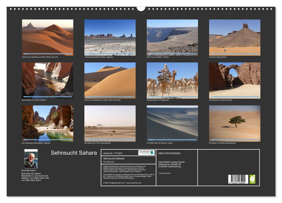 Sehnsucht Sahara (CALVENDO Wandkalender 2025)